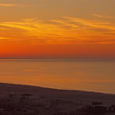 幸运彩票最新app